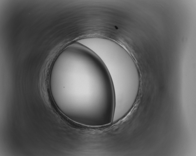 X0000089940193200706290822