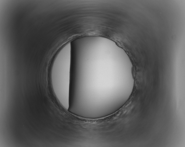 X0000089940194200706290822