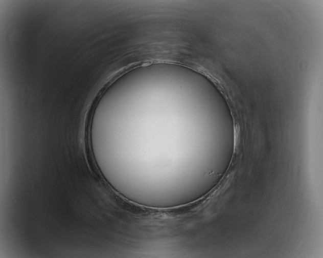 X0000089940195200706290822