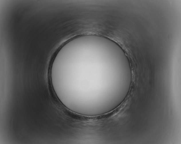 X0000089940196200706290822