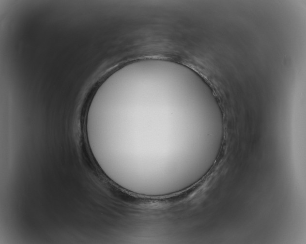 X0000089940198200706290822