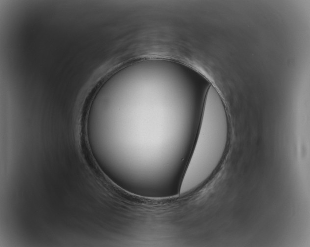 X0000089940199200706290822
