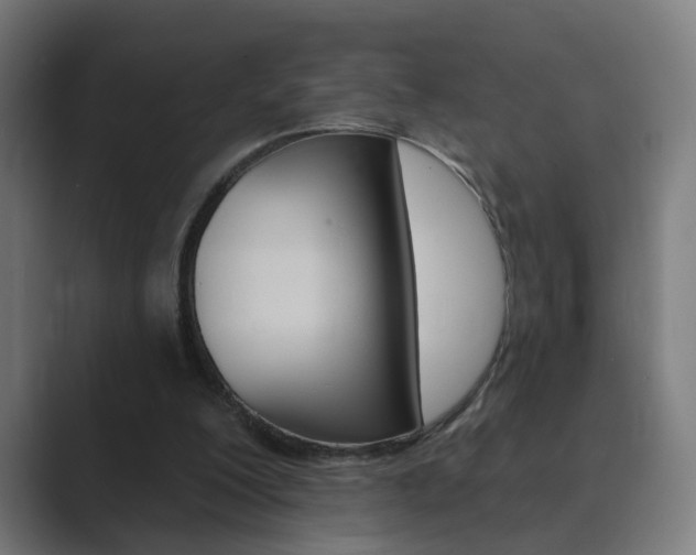X0000089940200200706290822