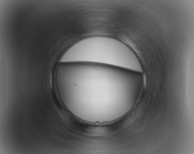 X0000089940205200706290822