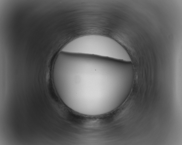 X0000089940206200706290822