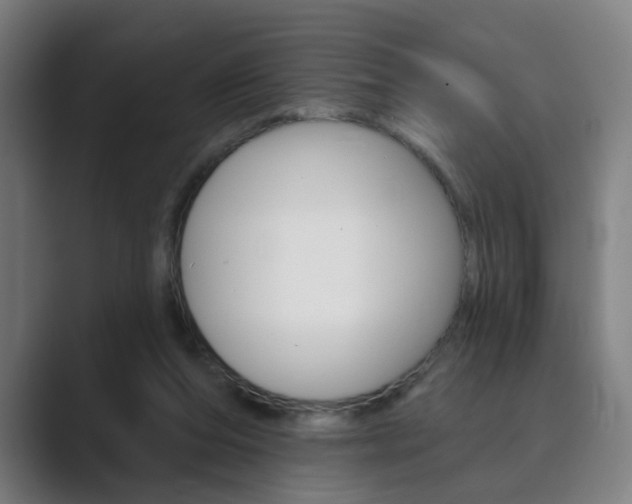 X0000089940208200706290822