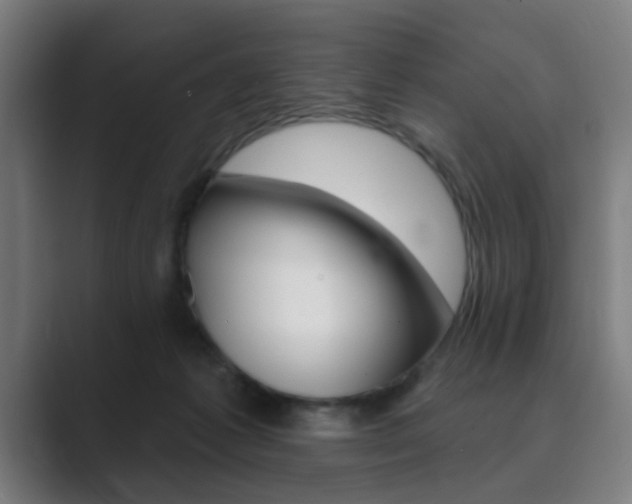 X0000089940221200706290822