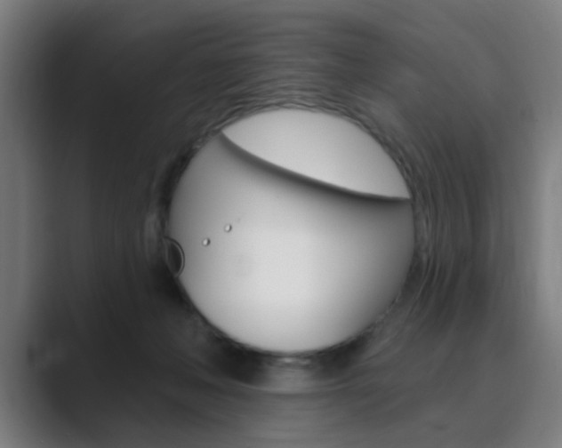 X0000089940222200706290822