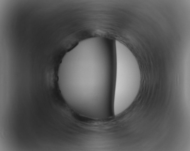 X0000089940223200706290822