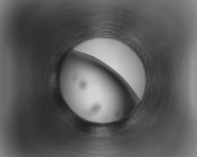 X0000089940224200706290822