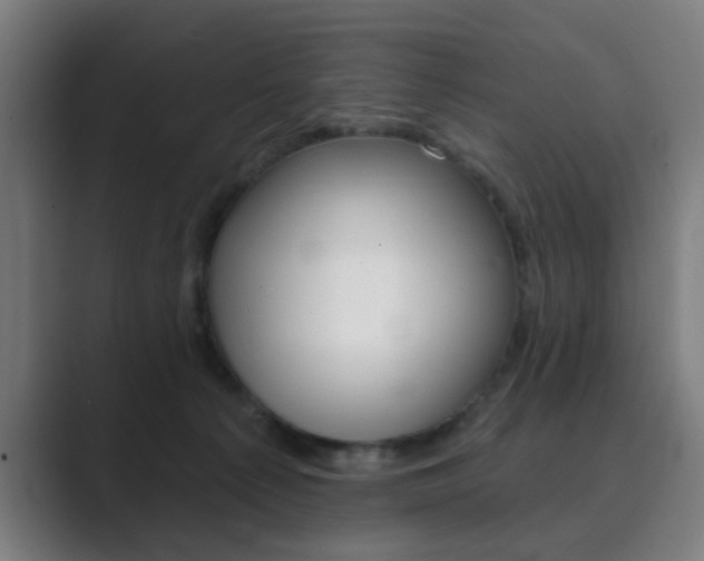X0000089940225200706290822