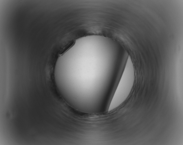 X0000089940229200706290822