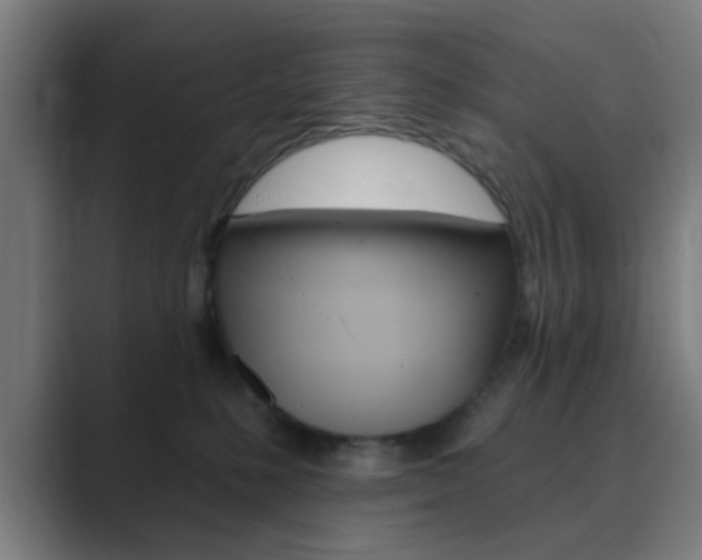 X0000089940231200706290822