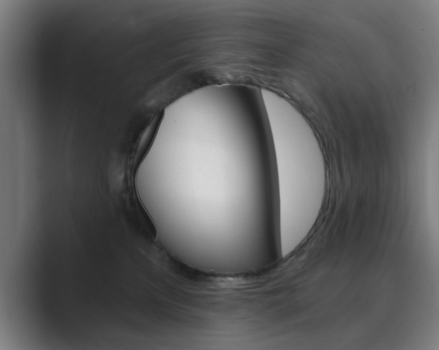 X0000089940233200706290822