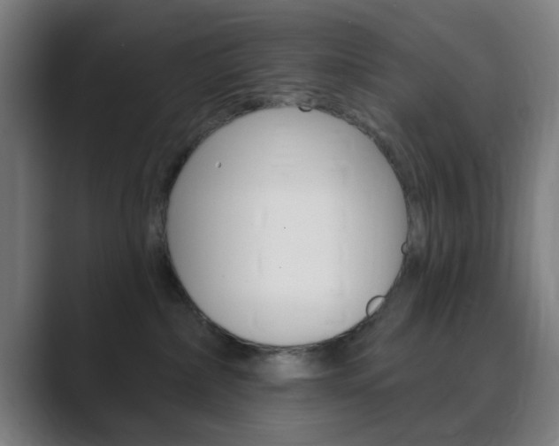 X0000089940236200706290822