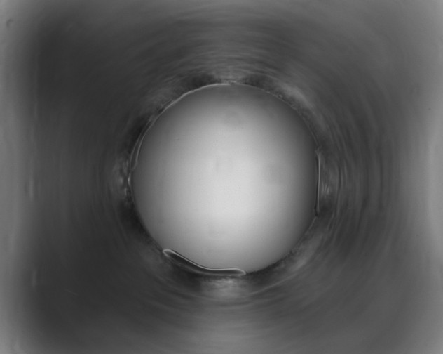 X0000089940237200706290822
