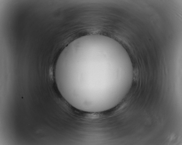 X0000089940238200706290822