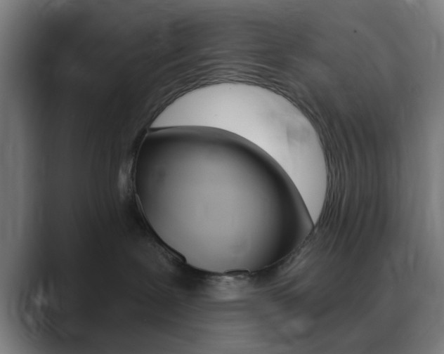 X0000089940239200706290822