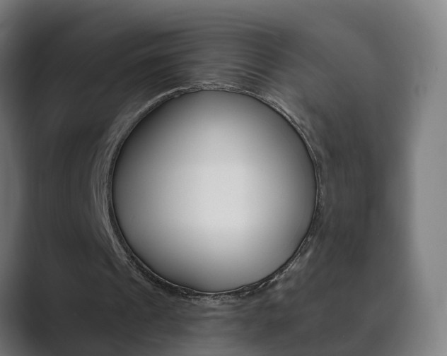 X0000089940241200706290821