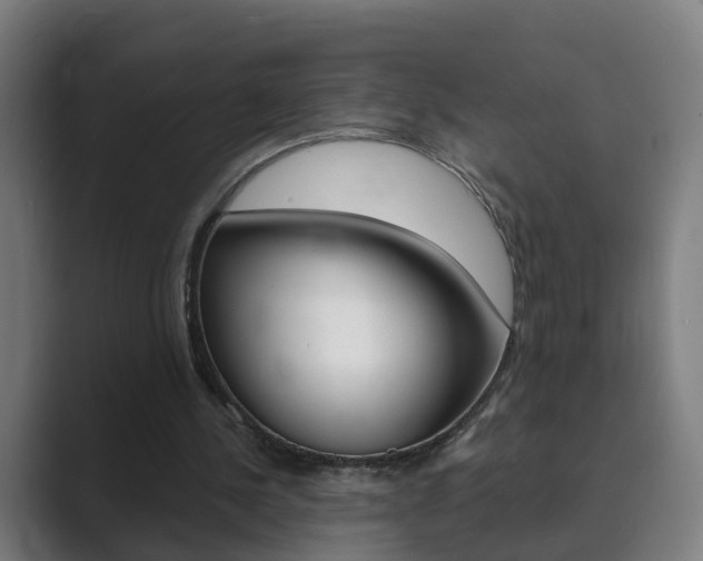 X0000089940244200706290821
