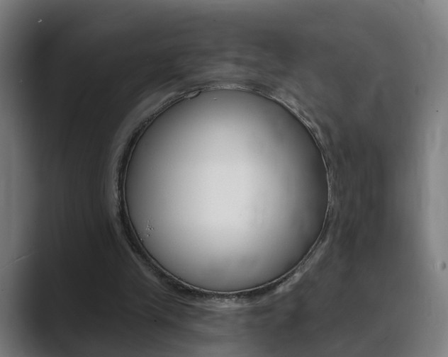 X0000089940245200706290821