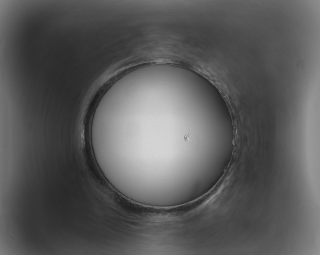 X0000089940246200706290821