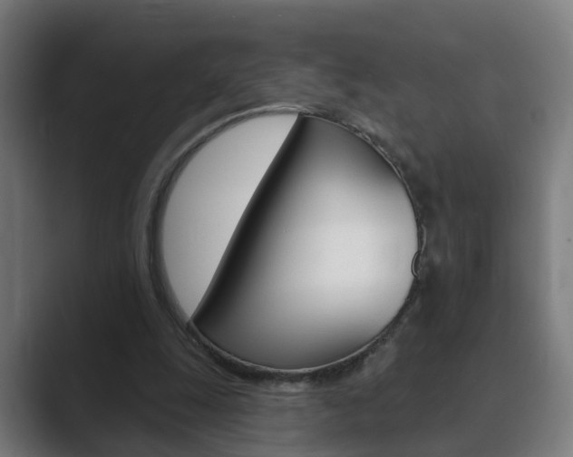 X0000089940247200706290821