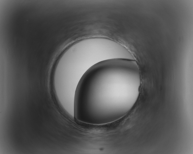 X0000089940248200706290821