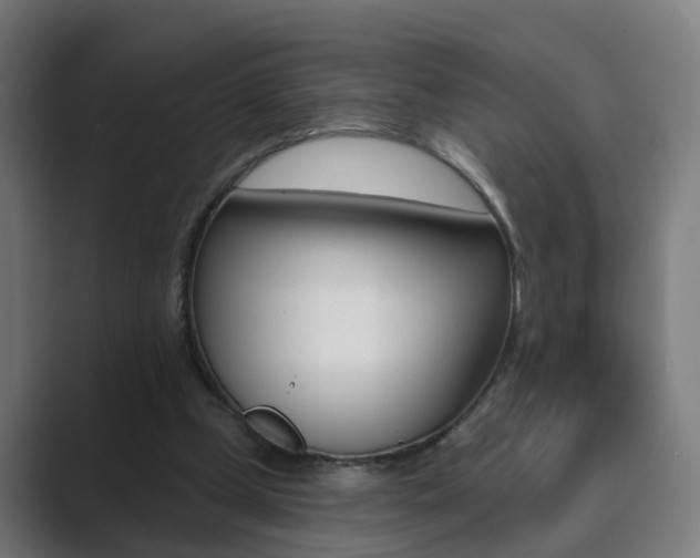 X0000089940249200706290821