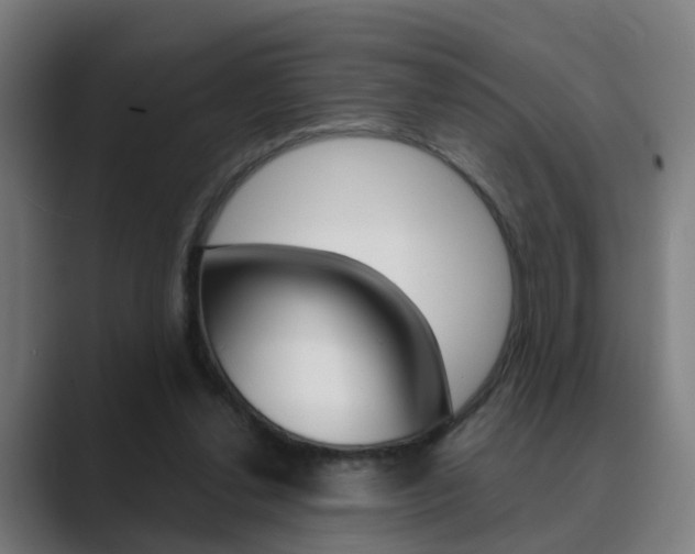 X0000089940252200706290821