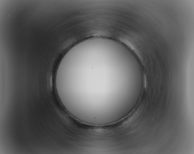 X0000089940253200706290821