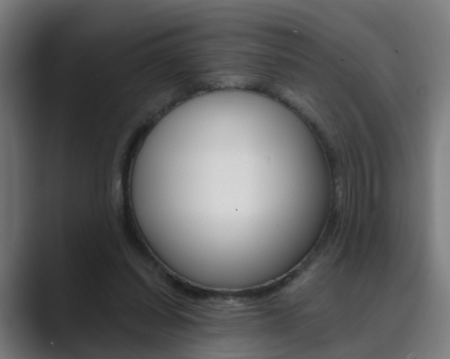 X0000089940254200706290821