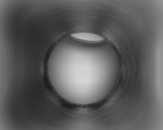 X0000089940255200706290821