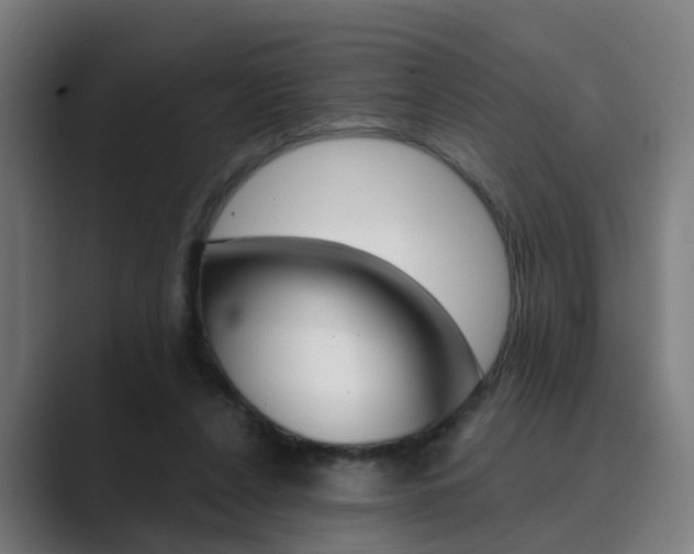X0000089940256200706290821