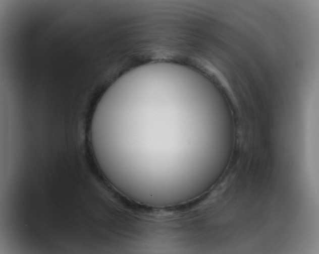 X0000089940257200706290821
