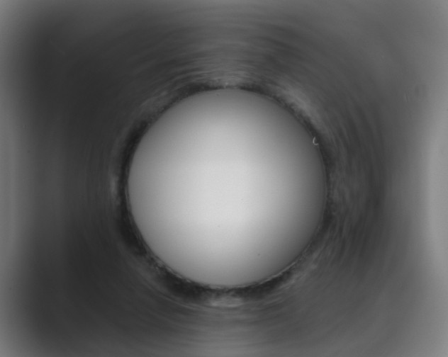 X0000089940258200706290821