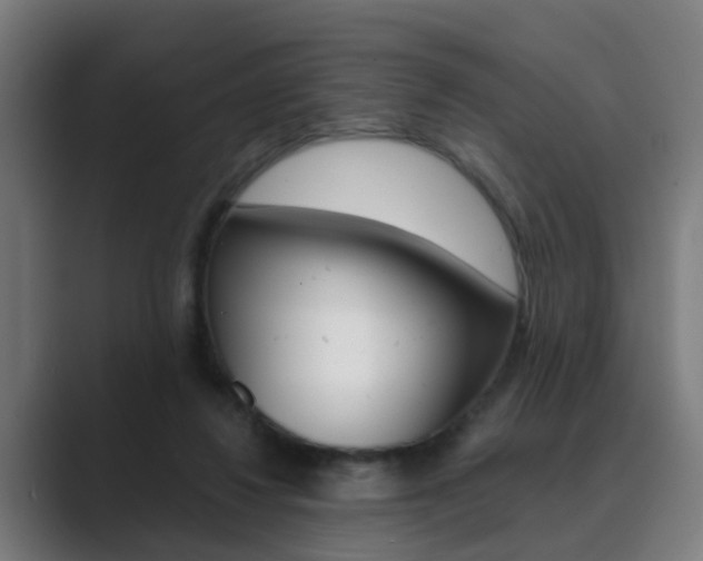 X0000089940260200706290821
