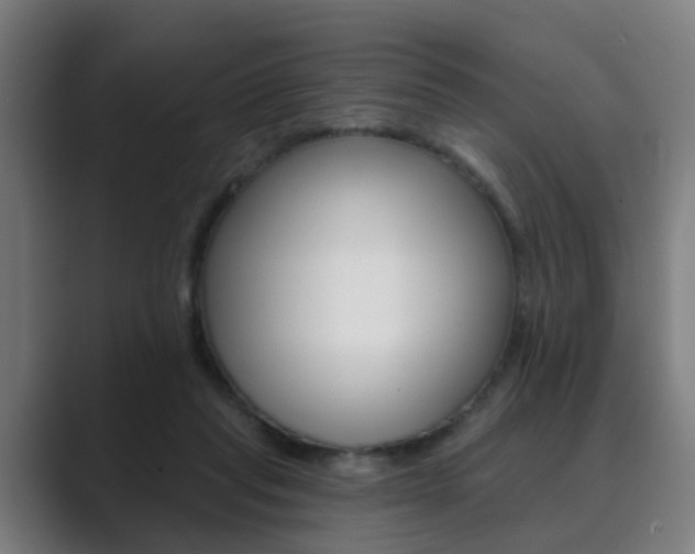 X0000089940261200706290821