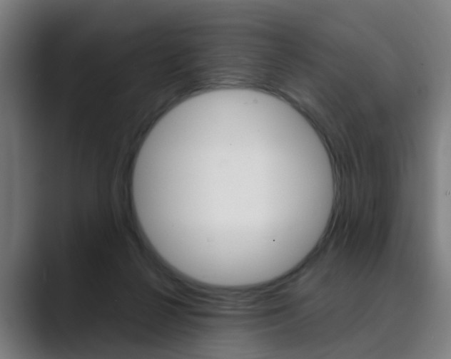 X0000089940264200706290821