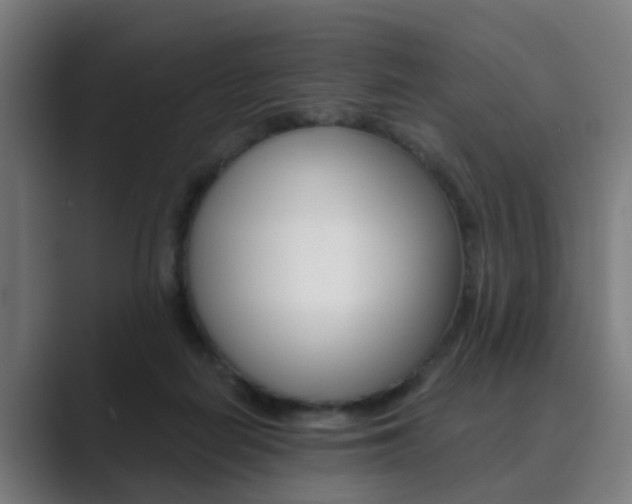 X0000089940266200706290821