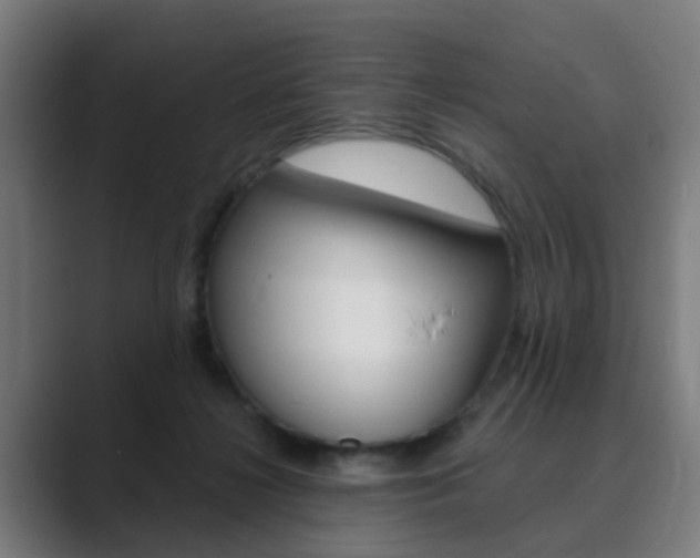 X0000089940268200706290821