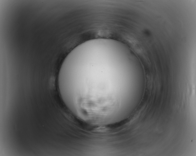 X0000089940269200706290821