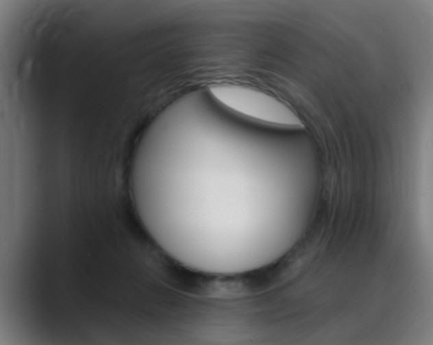 X0000089940270200706290821