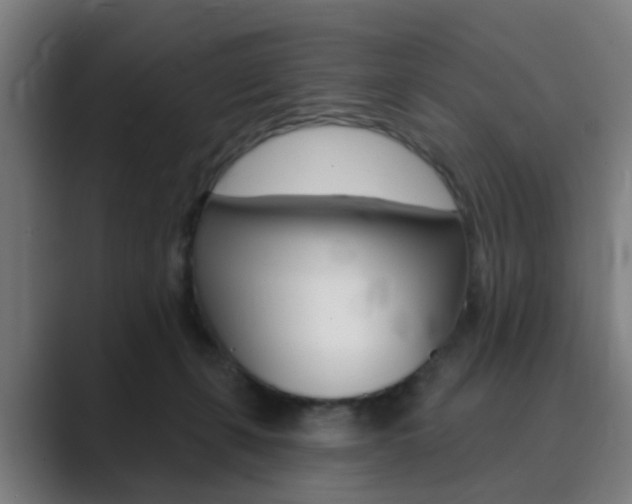 X0000089940271200706290821