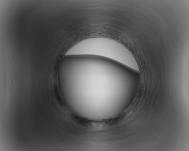 X0000089940272200706290821