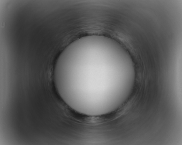 X0000089940273200706290821