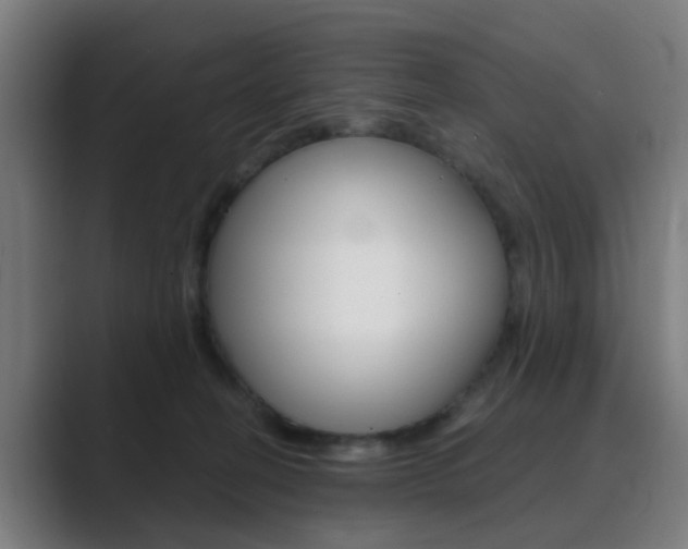 X0000089940274200706290821