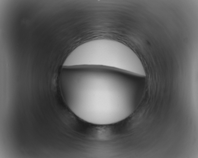 X0000089940275200706290821