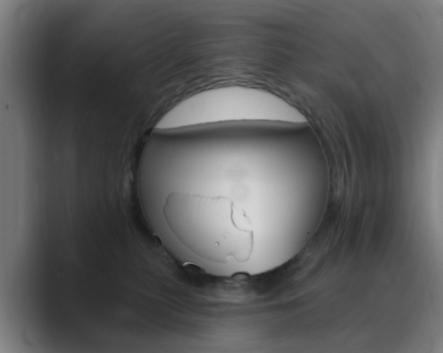 X0000089940279200706290821