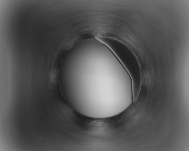 X0000089940280200706290821